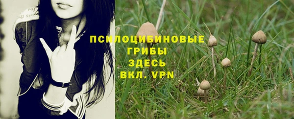 mix Алексин