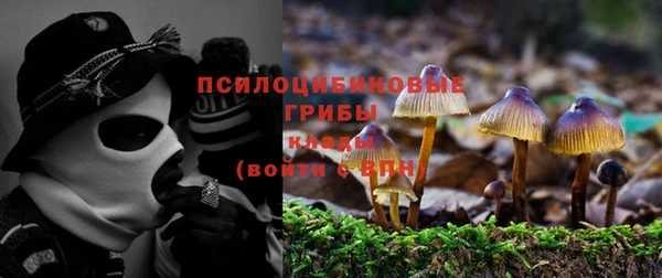 2c-b Алексеевка